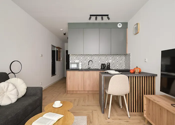 Ina Rent - Mieszczanska Lejlighed